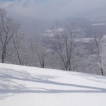 コンプライアンス研修会（島根県森林組合連合会）の講師を務めました