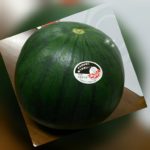 スタッフブログ★R2.7月号★